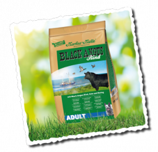 black-angus-adult