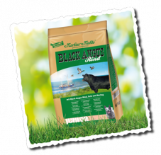 black-angus-junior