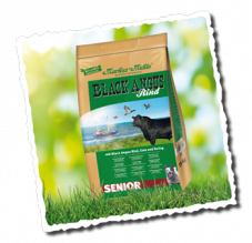 black-angus-senior