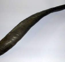 is